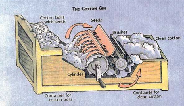 Eli Whitney and the Cotton Gin