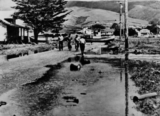 Aleutian Earthquake (Alaska)