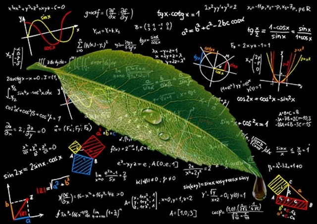 Kalkuluak manera sistematikoki