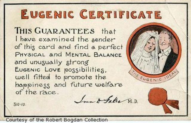 The rise of a new eugenics