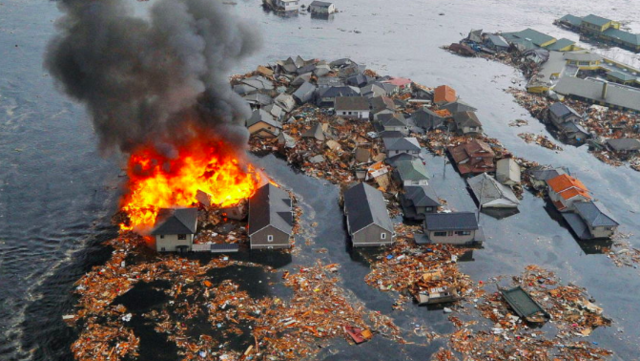 Tohoku Earthquake (Japan)