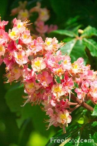 My Great-graandma died.