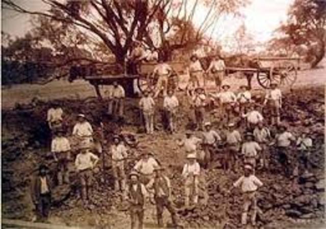 Victoria and South Australia