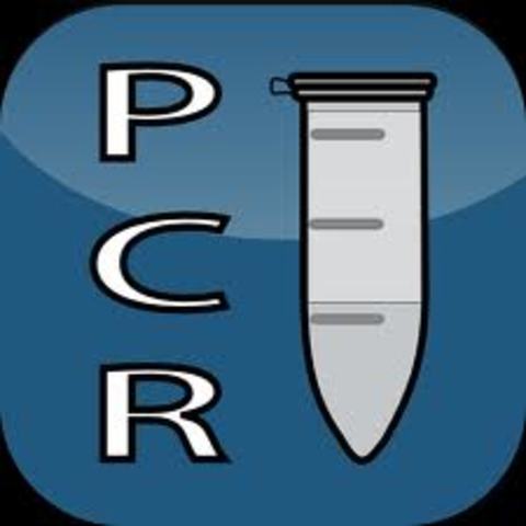 Αναπτύσσεται η μέθοδος της αλυσιδωτής αντίδρασης πολυμεράσης (PCR- Polymerase Chain Reaction) που χρησιμοποιείται στον πολλαπλασιασμό συγκεκριμένων αλληλουχιών DNA.