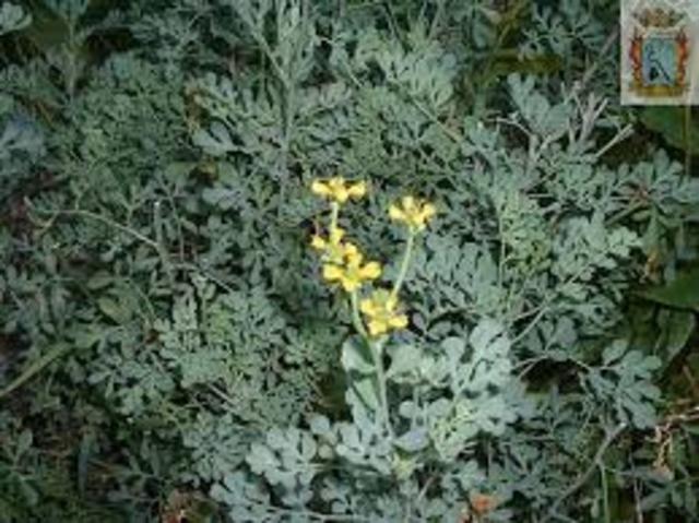 Rafael Uribe Uribe habla acerca del bienestar del trabajador