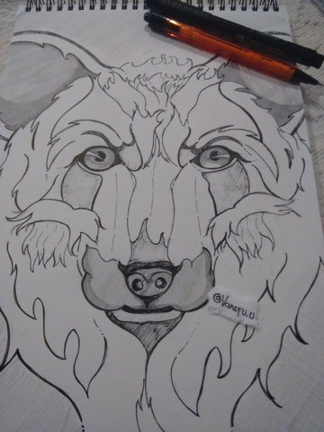 Concurso de ilustración animal