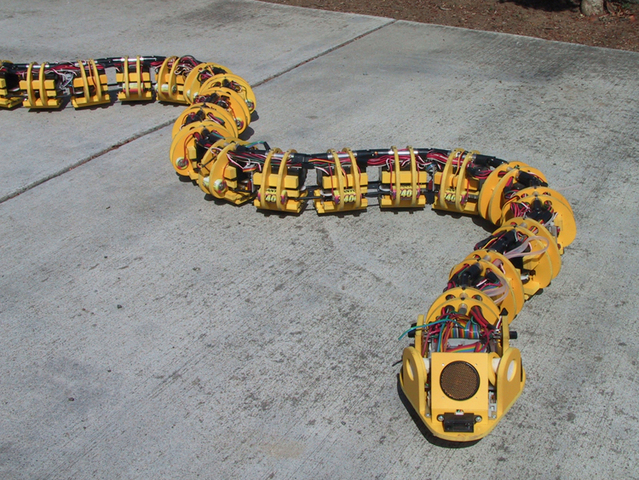 Robot serpent (Gavin Miller)
