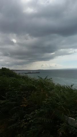 Pancsi a tengerben :)