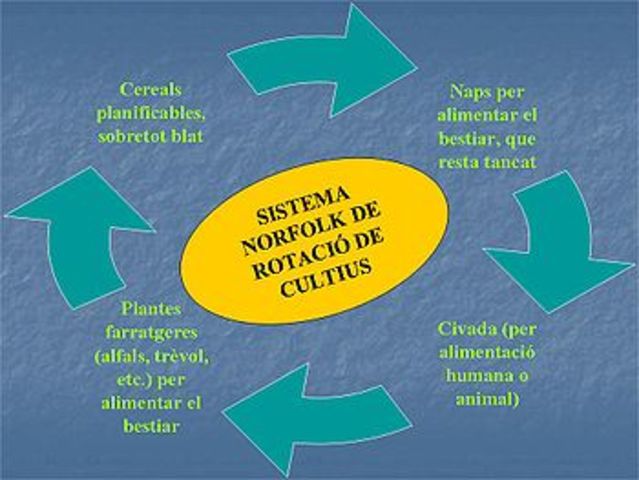 Sistema Norfolk, Tancament finques i Ramaderia intensiva