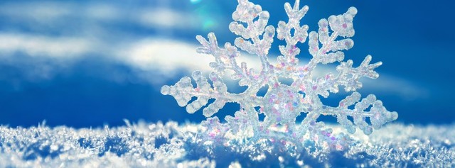 veig la neu per primer cop