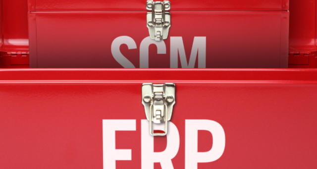 ERP y SCM.