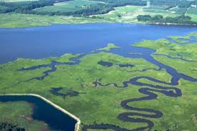 Explores Chesepeaske Bay