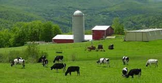 Typical farms were this big.