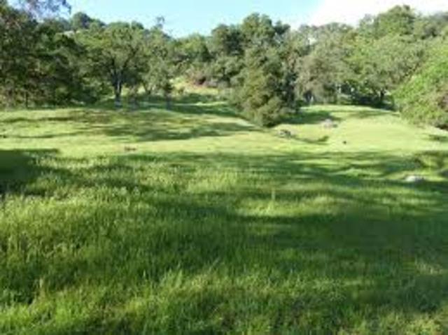 Frank Stephens purchases.