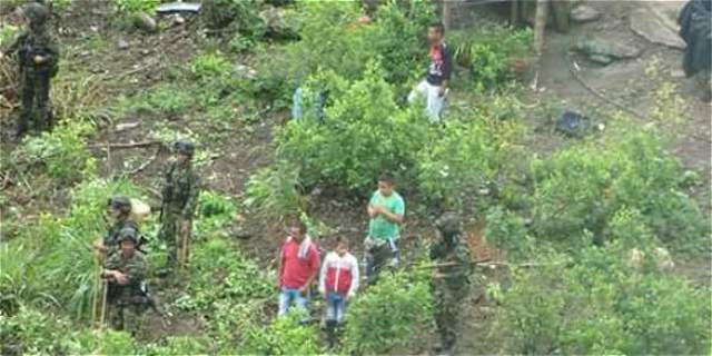 Un muerto y cinco heridos dejan enfrentamientos en Argelia, en Cauca