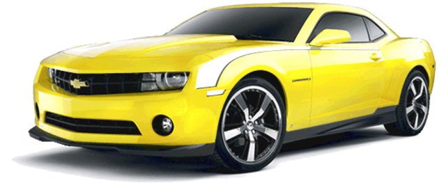 Leonardo Kaari, Murilo Bacoccina, Lucas Santana, Giovane Gallerani.