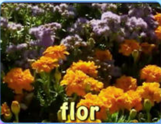 My frist word in Catalan!