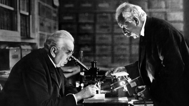 Brothers Auguste and Louis Lumiere organized first world film screening