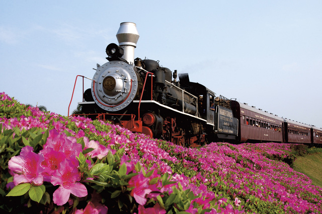 TRANSPORTE  FERROVIÁRIO MARIA FUMAÇA
