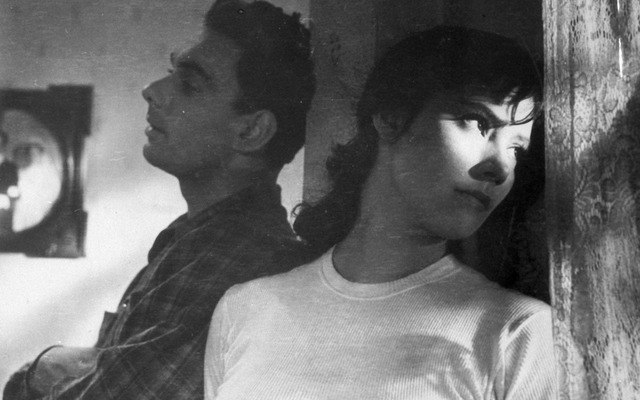 Quand passent les cigognes