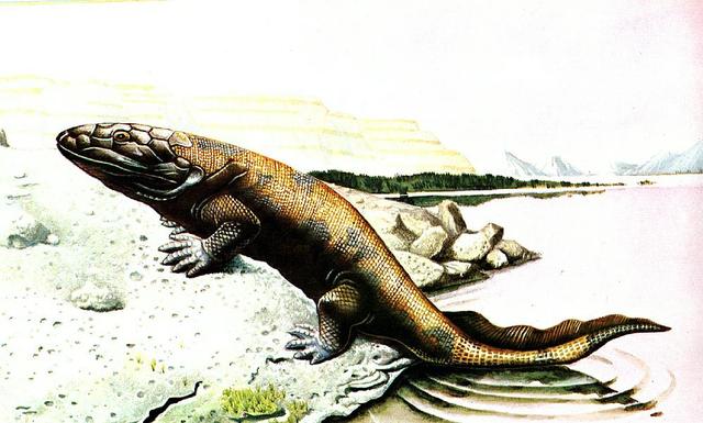 First Signs Of Land Plants And Animals