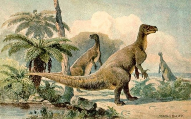 DINOSAURS ABUNDANT, FIRST BIRDS APPEAR