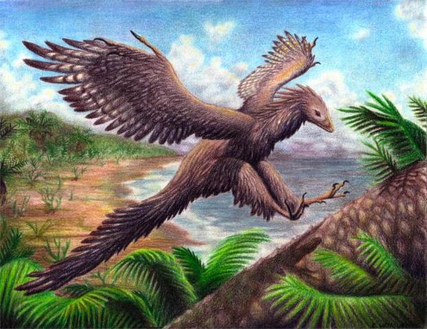 Dinosaurs abundant, first birds appear