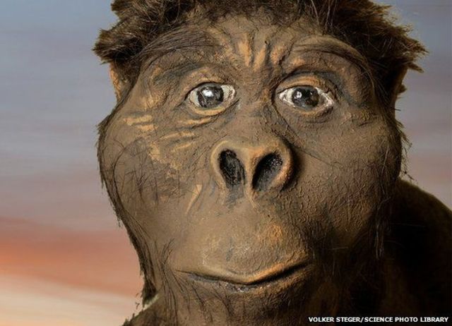 11:50PM – ANATOMICALLY MODERN HUMANS APPEAR