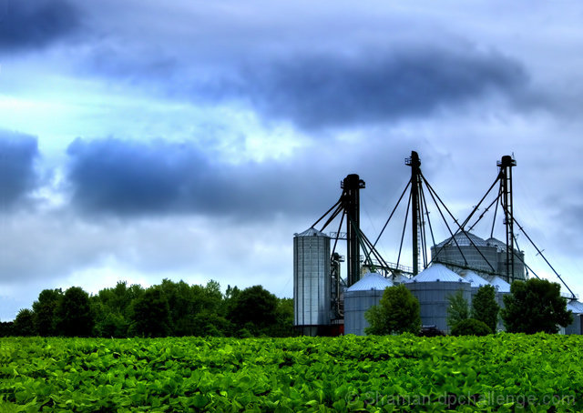 Agrarian versus industrial