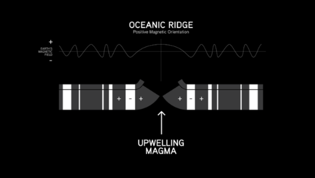 The Hevine-Matthews-Morpley Hypothesis Is Established
