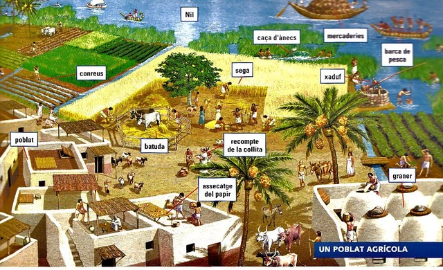 Geografia humana i societat