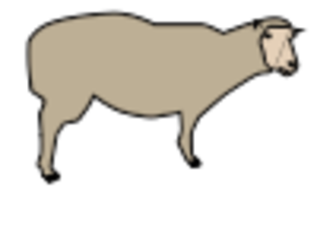 Clonacion Oveja Dolly