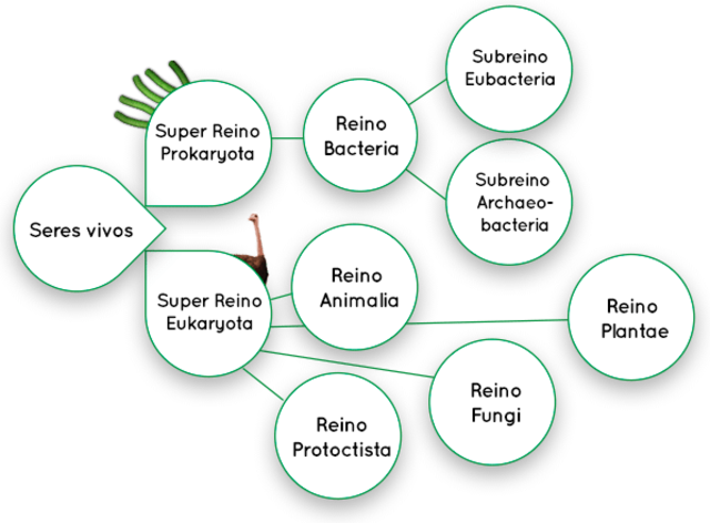 Lynn Margulis y Karlene V. Schwartz