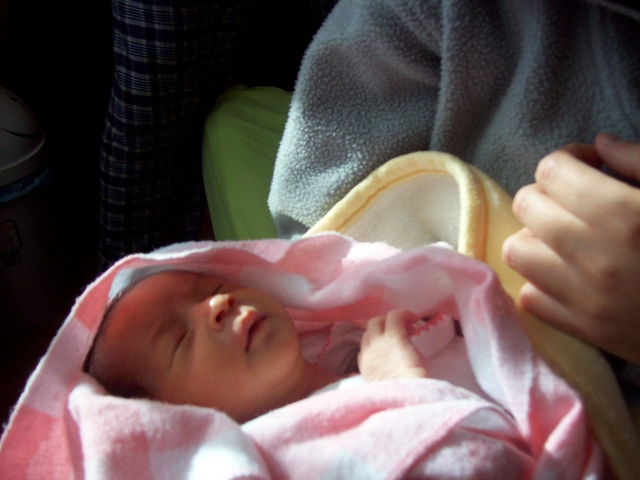 My Little Sister was Born