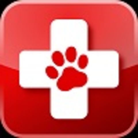 Pet First Aid
