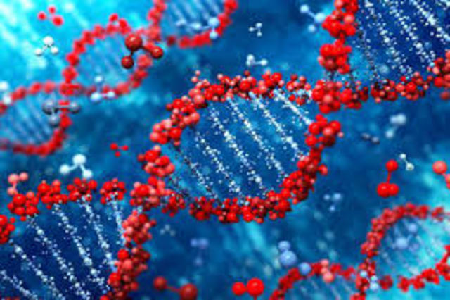 Nuevo sistema de taxonomía basado en el genoma