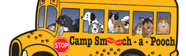 Dog Day Camp