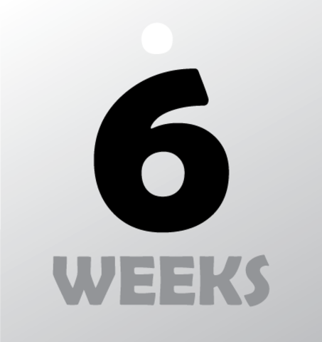 6 weeks