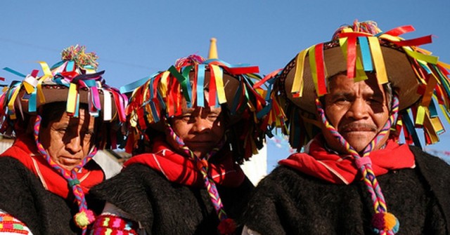 PROYECTO DE EDUCACION RURAL E INDIGENA.