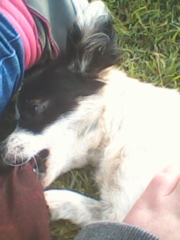 Pinino se fue de casa:'(