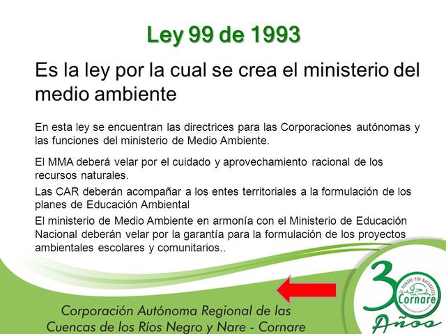 SIGLO XX (1960 – 1993)