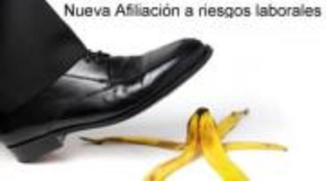 Decreto 1772 DE 1994