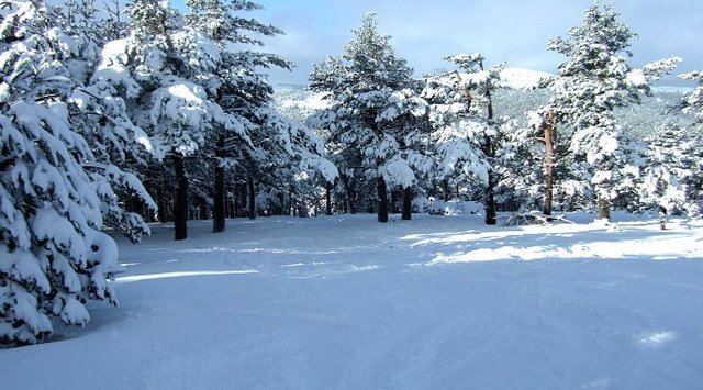 la primera vegada que vaig tocar la neu