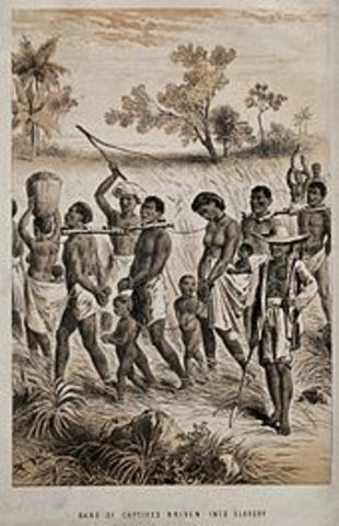 first African slaves brought to western hemisphere