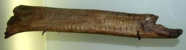 Huesos para representar cantidades