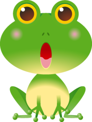 CONSUMIDORES PRIMARIOS