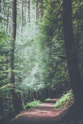 Ash's favorite places