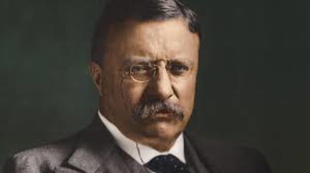 Theodore Roosevelt