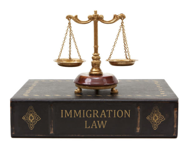 Immigration Laws created in the Colonies