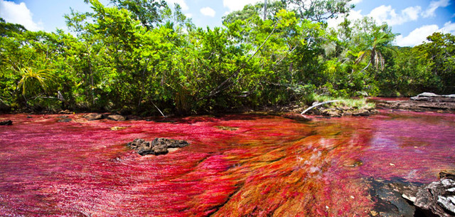 CAÑO CRISTALES